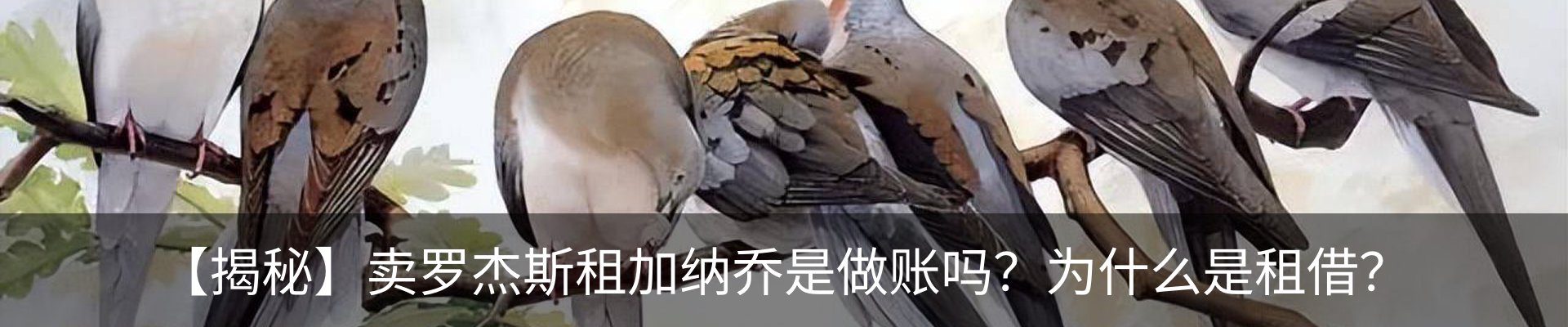 行业资讯