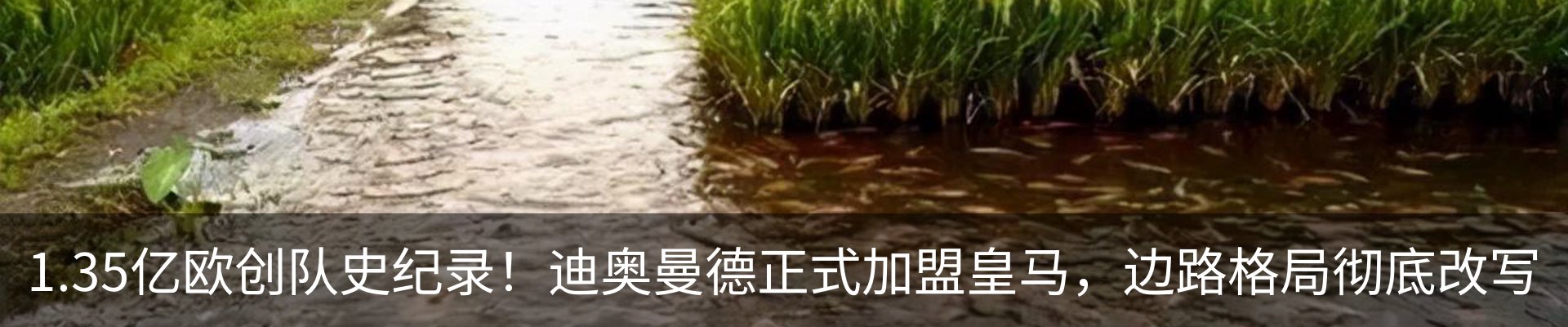行业资讯